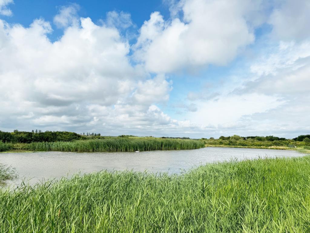 Lot: 163 - APPROXIMATELY NINE ACRES LAND INCORPORATING FLIGHT POND IN IDYLLIC LOCATION - View of flight pond